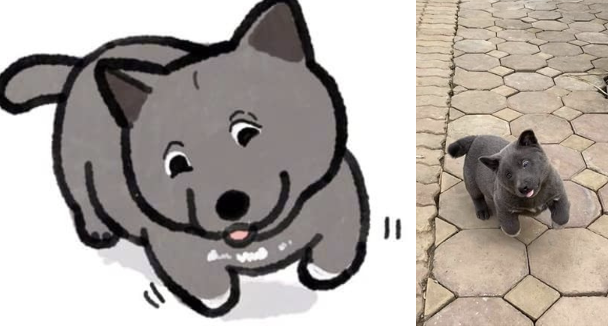 Khám phá với hơn 243 vẽ chó shiba chibi hay nhất  Tin Học Vui
