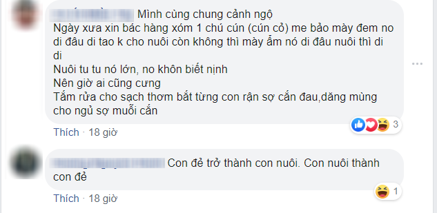 Bố mẹ suýt đuổi con gái ra khỏi nhà vì mang &quot;boss&quot; về nuôi, cảnh tượng 6 năm khiến ai cũng sửng sốt: Nhìn mà tức á - Ảnh 2.