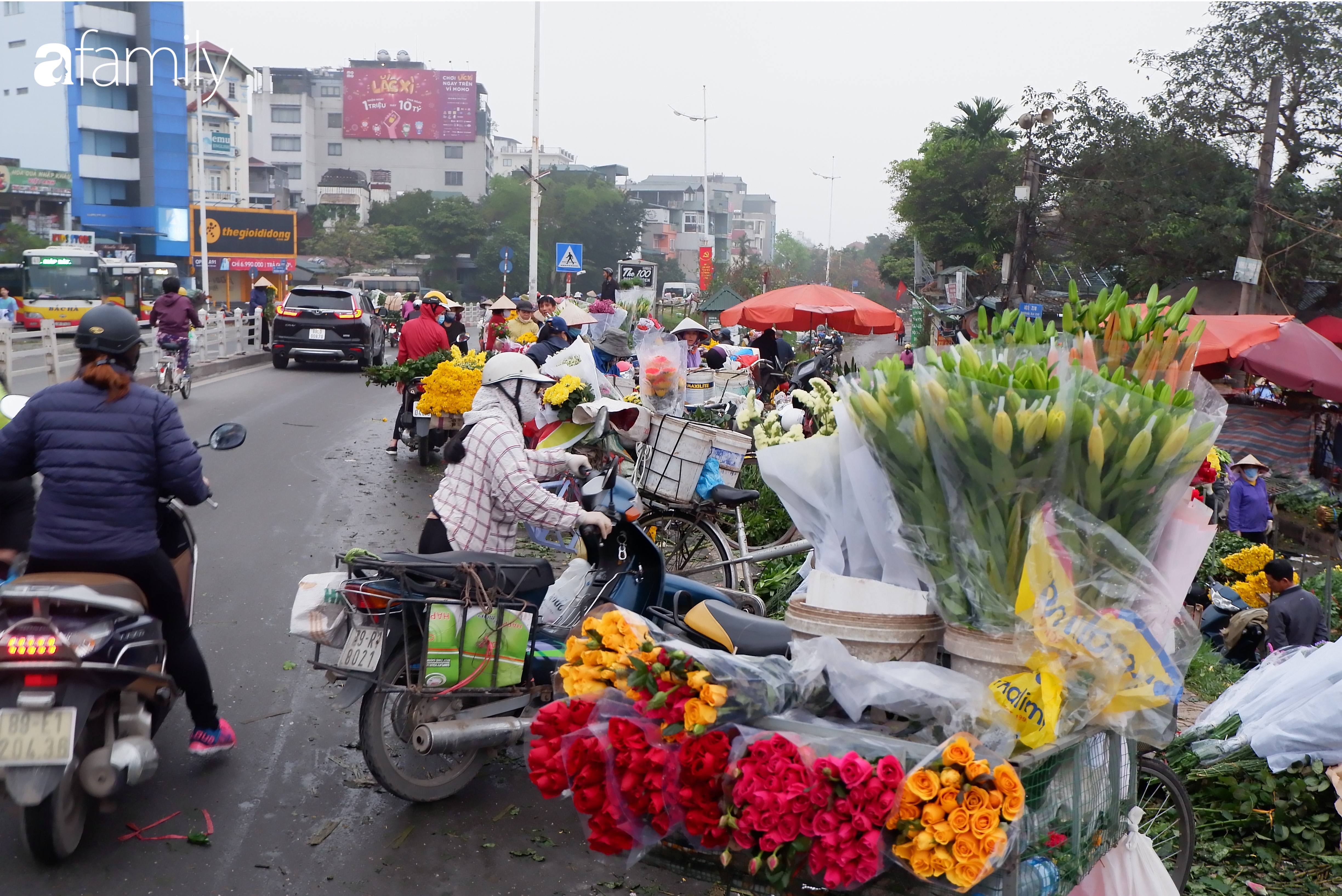 Tấp nập chợ hoa đêm Quảng An ngày Quốc tế Phụ nữ 8/3 - Ảnh 4.