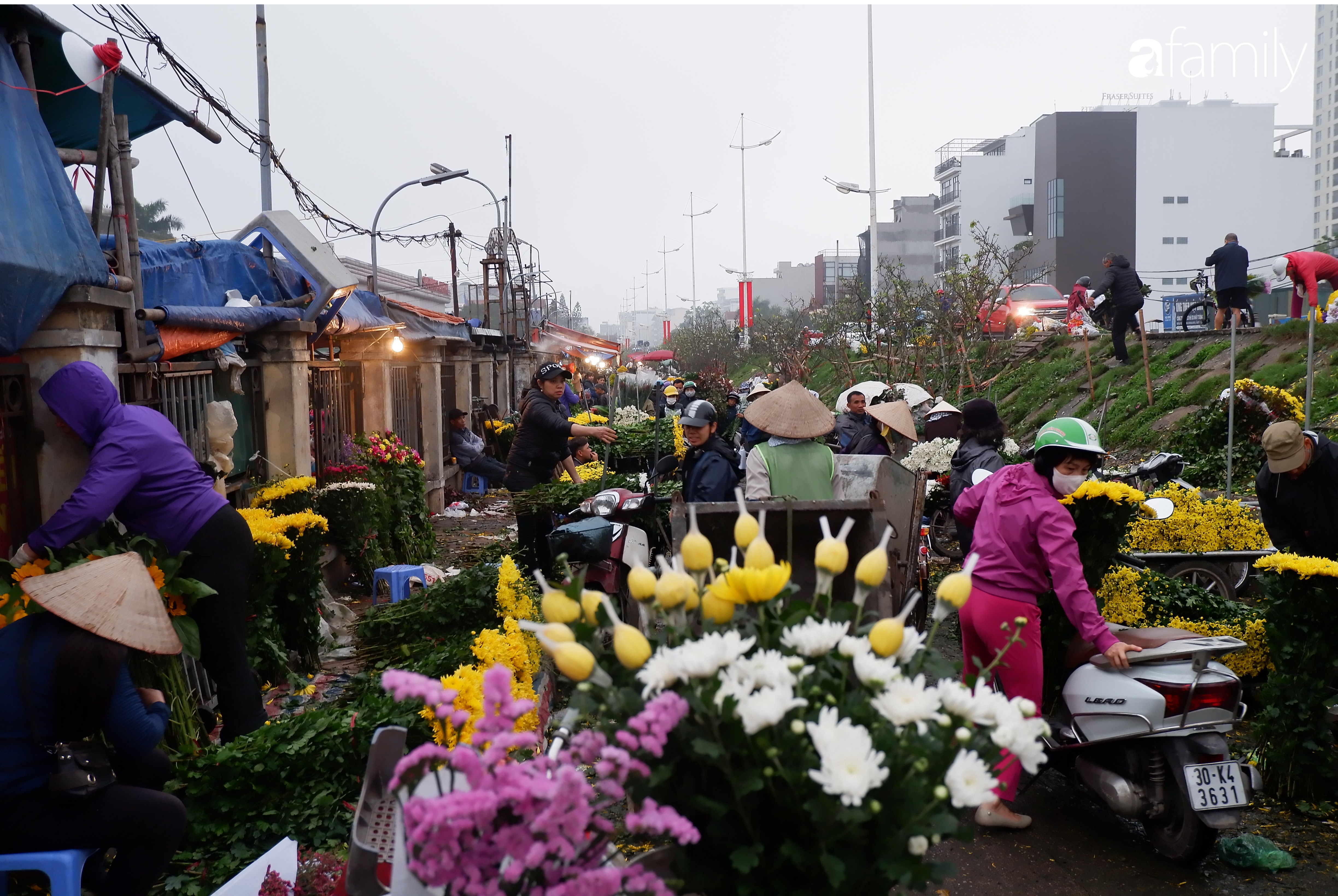 Tấp nập chợ hoa đêm Quảng An ngày Quốc tế Phụ nữ 8/3 - Ảnh 2.