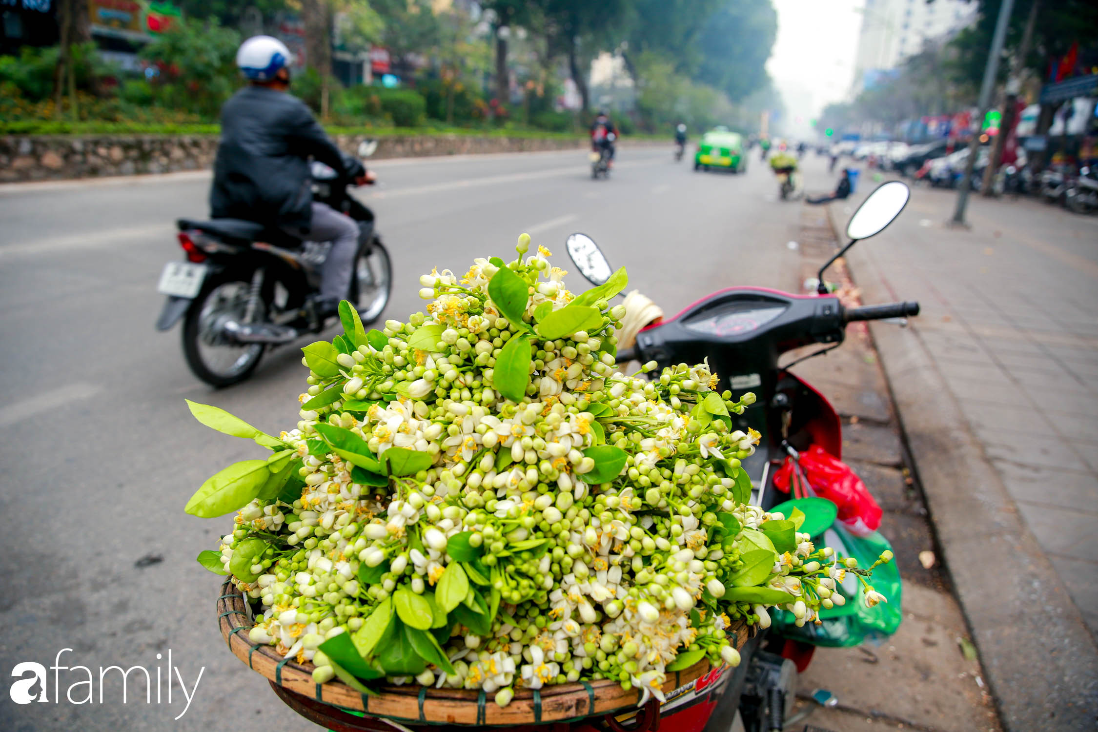 Giữa Hà Nội luôn phát triển không ngừng, có những người phụ nữ nhỏ bé, thích 