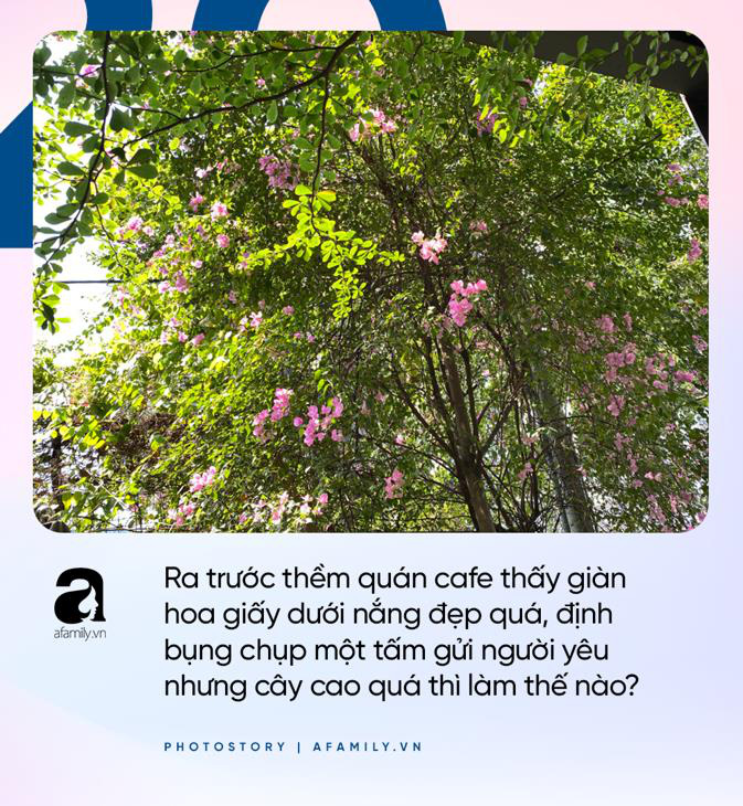 Smartphone cho hội lười xê dịch là đây chứ đâu, đứng yên một chỗ mà bắt trọn cả thế giới - Ảnh 1.