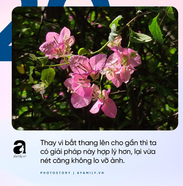 Smartphone cho hội lười xê dịch là đây chứ đâu, đứng yên một chỗ mà bắt trọn cả thế giới - Ảnh 2.