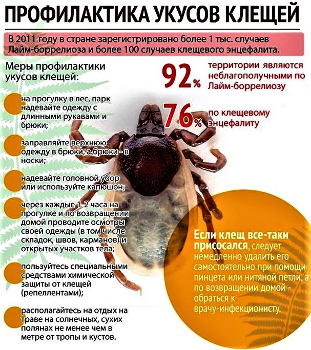 Các nhà khoa học Nga cảnh báo về khả năng bùng phát dịch bệnh mới - Ảnh 3.