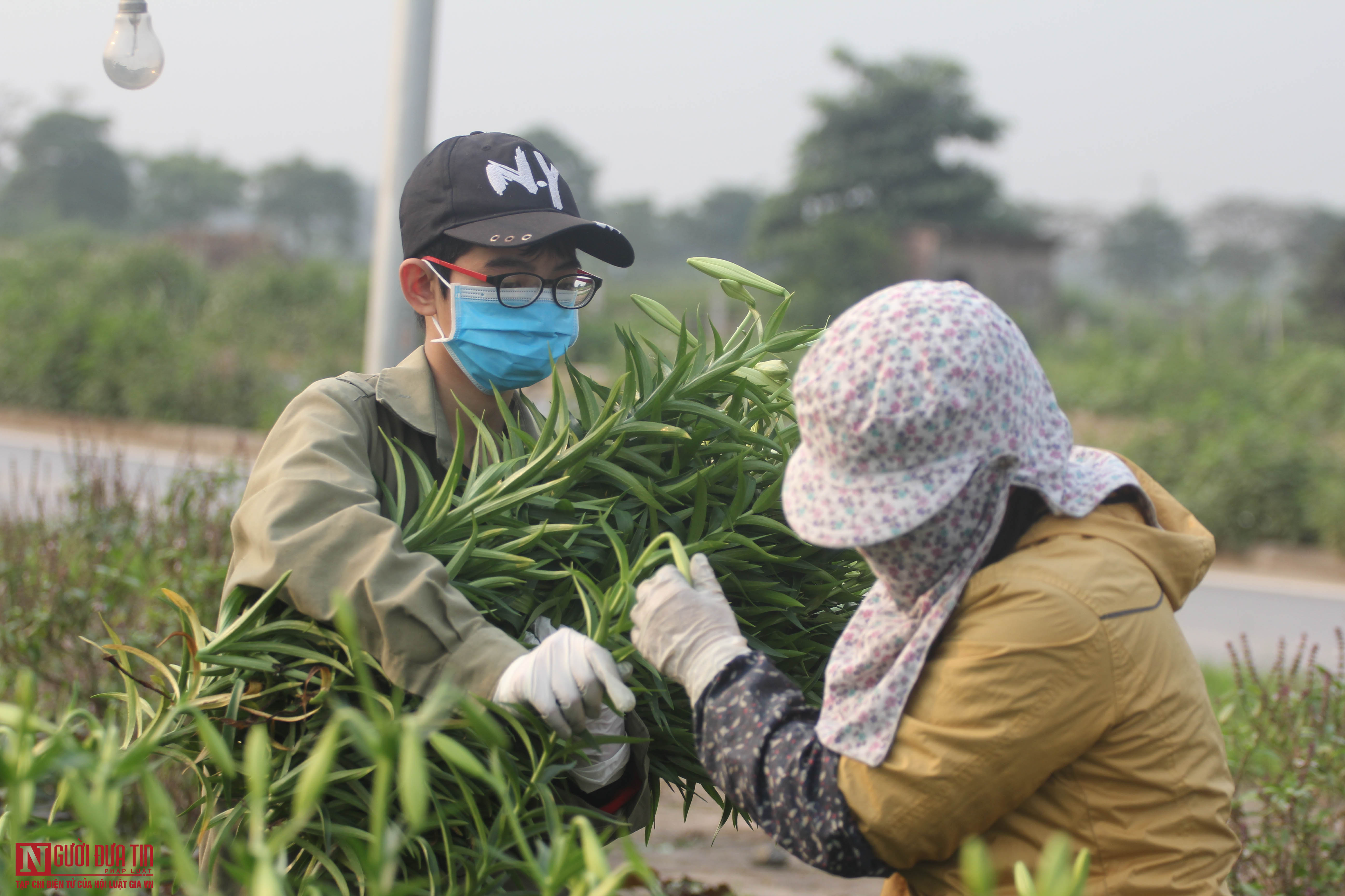 Dịch Covid-19 khiến &quot;hoa cười người khóc&quot;, nông dân nghẹn đắng ước &quot;giá mà hoa ăn được tôi cũng đem tích trữ&quot; - Ảnh 16.