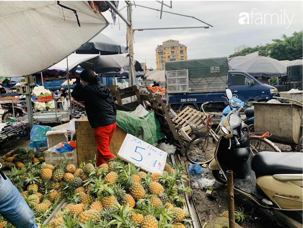 Hà Nội: Giá xoài, dứa xuống thấp kỉ lục, chỉ bằng 1/2 tháng trước - Ảnh 3.