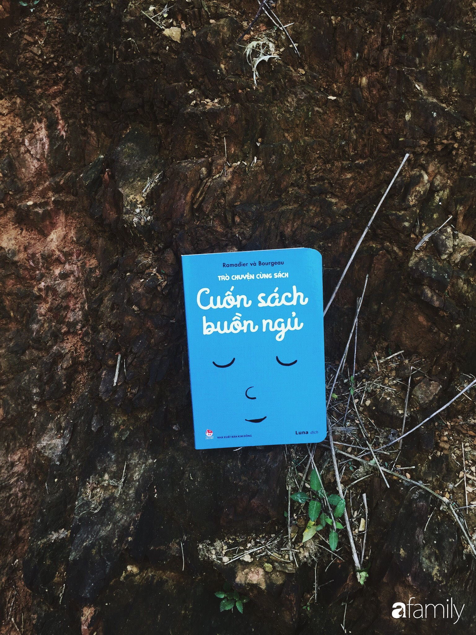 "Cuốn s&aacute;ch buồn ngủ": Tưởng chỉ đọc để buồn ngủ nhưng lại c&oacute; những b&iacute; mật bất ngờ - Ảnh 4.