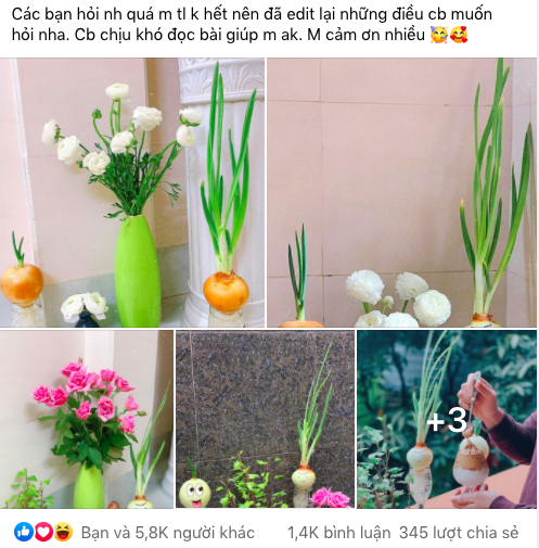 Cô gái trẻ chia sẻ cách trồng hành tây "mọc tóc, mọc râu" cực đáng yêu, ngó xuống bình luận của dân mạng càng thấy bất ngờ hơn - Ảnh 1.