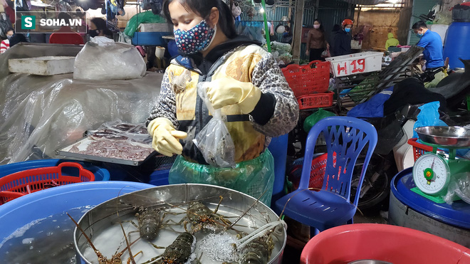 Tôm hùm giảm giá chưa từng thấy, dân buôn khóc dở vì ôm cả tấn hàng tồn - Ảnh 4.