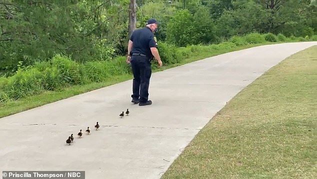 Cảnh sát lần lượt dẫn 2 đàn vịt con đi tìm mẹ quanh công viên, dân mạng hài hước: Không tìm được mẹ thì cả đàn cũng có bố rồi - Ảnh 2.