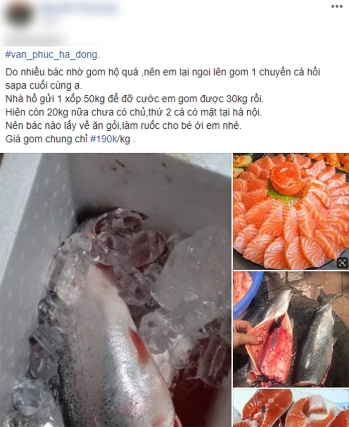 Ảnh hưởng bởi dịch, cá hồi Sapa giá rẻ chỉ 190 ngàn đồng/kg, bà nội trợ rủ nhau mua chung thùng xốp 50kg về ăn dần - Ảnh 1.