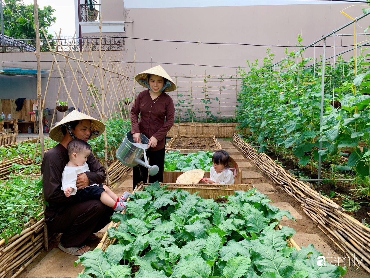 Gia đình trẻ cải tạo vườn rau xanh tốt cho các con chơi như khu vườn tuổi  thơ