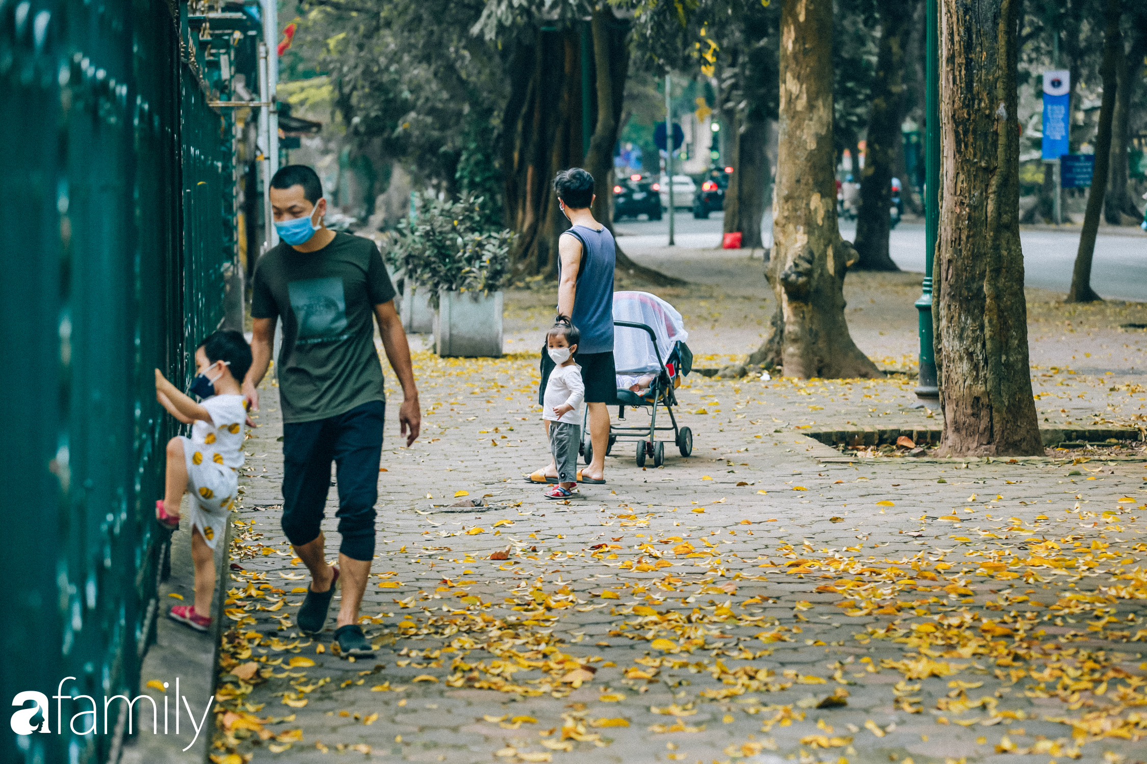 Cuối tháng 4, con phố lãng mạng nhất Hà Nội đón mùa sấu thay lá vàng rực khắp con đường - Ảnh 5.