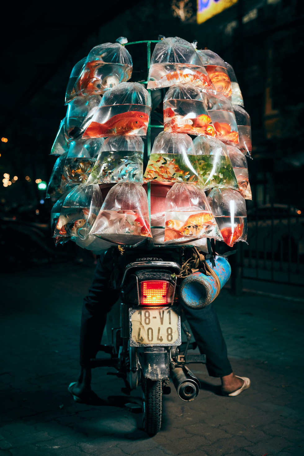 Vượt qua 36.000 tác phẩm, bức ảnh chụp xe bán cá cảnh rong ở Việt Nam chiến thắng giải thưởng nhiếp ảnh lớn ở Mỹ - Ảnh 1.