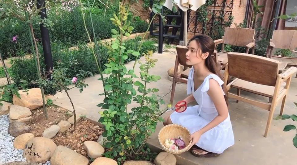Sau ồn ào với Linh Ngọc Đàm, Midu hé lộ cuộc sống cách ly chuẩn sơn nữ: Không son phấn, mỗi ngày chỉ hái rau tỉa hoa - Ảnh 3. Sau ồn ào với Linh Ngọc Đàm, Midu hé lộ cuộc sống cách ly chuẩn sơn nữ: Không son phấn, mỗi ngày chỉ hái rau tỉa hoa - Ảnh 3.