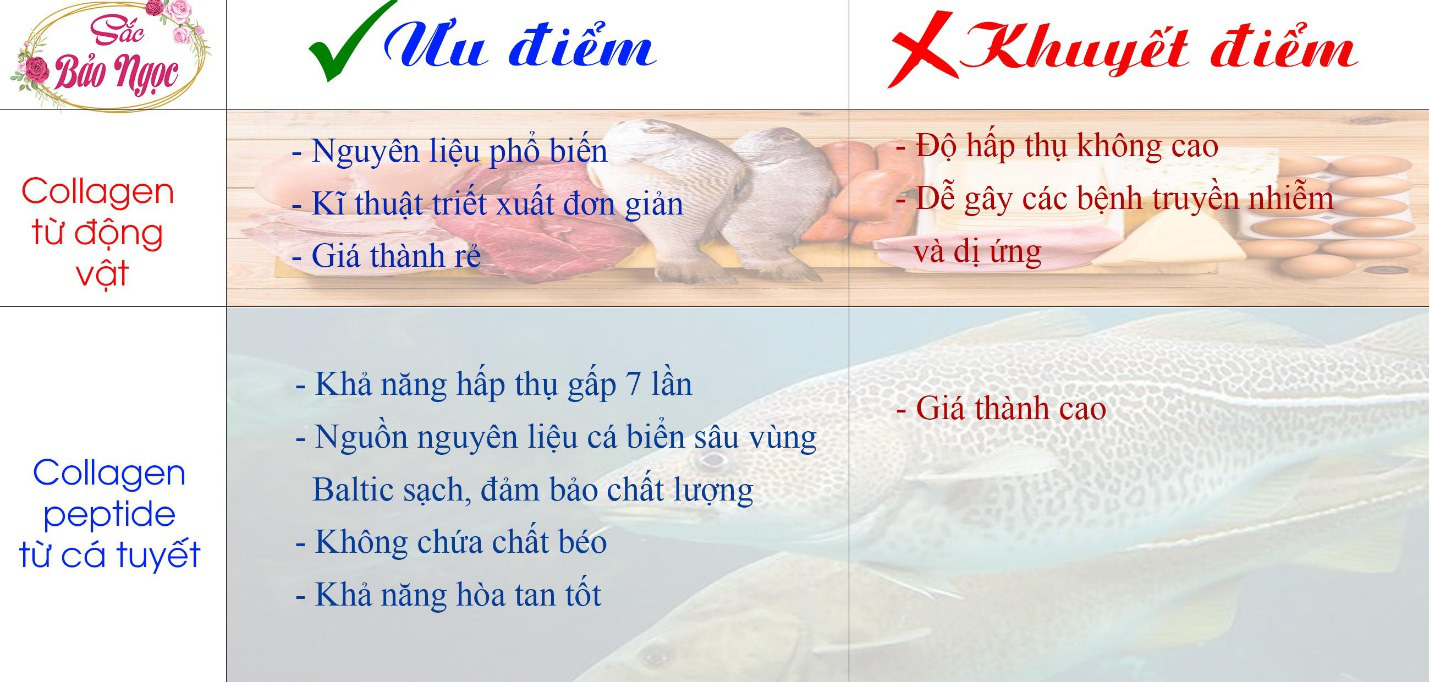 Viên uống trắng da TPBVSK Sắc Bảo Ngọc có tốt không? - Ảnh 3.