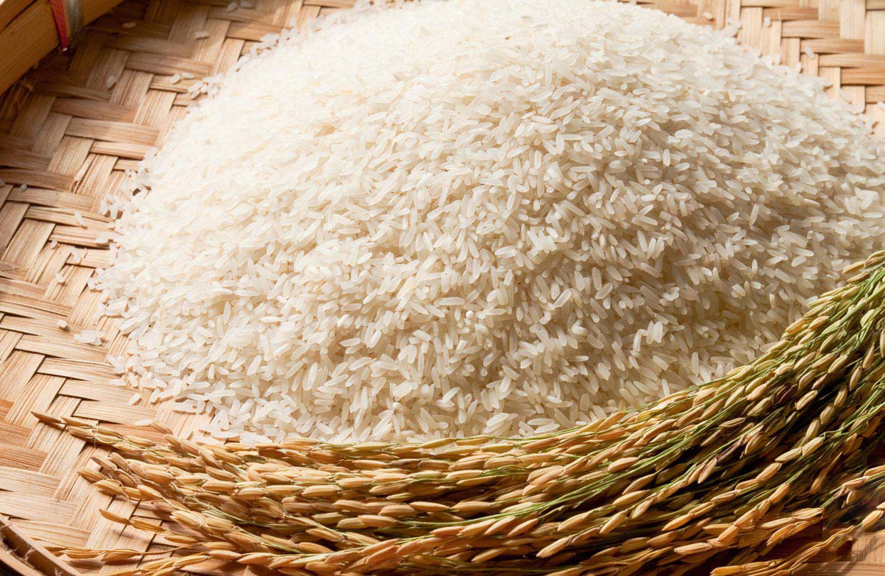 Xuất hiện trong bữa cơm hàng ngày nhưng chị em có biết 10 loại gạo &quot;ai ăn cũng phải khen ngon&quot; nức tiếng của các vùng miền cả nước - Ảnh 2.