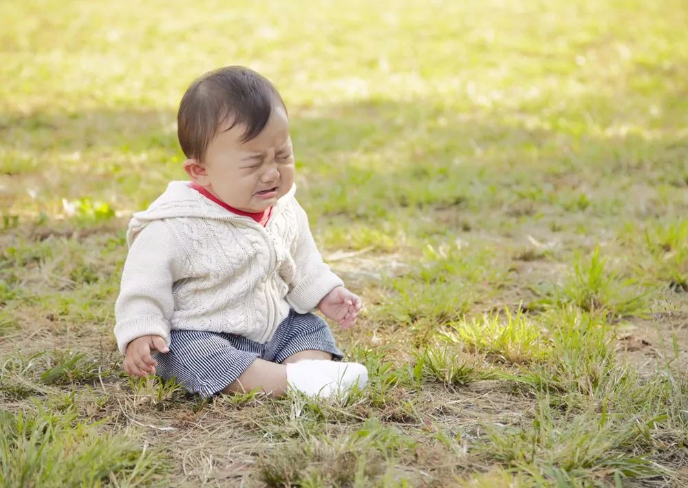 Nếu chỉ quan tâm đến chỉ số thông minh khi nuôi dạy con thì cha mẹ đã bỏ qua 1 điều cực quan trọng này  - Ảnh 4.