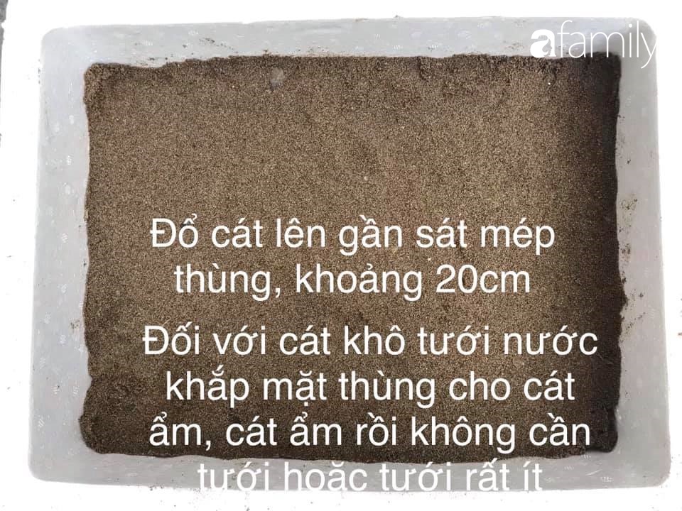 Chỉ với một ít đỗ và các dụng cụ đơn giản trong nhà bếp, mẹ đảm Hà thành mách cách làm giá tại nhà vừa nhanh vừa đảm bảo chất lượng - Ảnh 6.