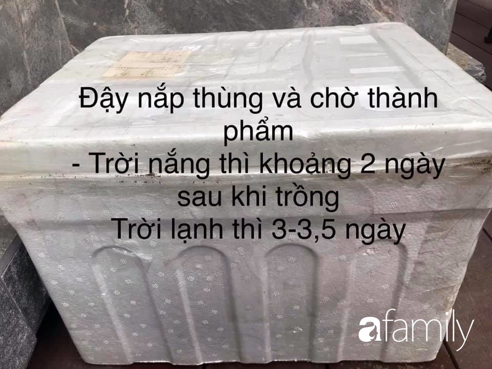 Chỉ với một ít đỗ và các dụng cụ đơn giản trong nhà bếp, mẹ đảm Hà thành mách cách làm giá tại nhà vừa nhanh vừa đảm bảo chất lượng - Ảnh 7.