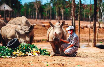 Vinpearl Safari ch&agrave;o đ&oacute;n t&ecirc; gi&aacute;c thứ 3 ch&agrave;o đời - Ảnh 4.