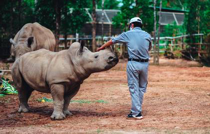 Vinpearl Safari ch&agrave;o đ&oacute;n t&ecirc; gi&aacute;c thứ 3 ch&agrave;o đời - Ảnh 7.