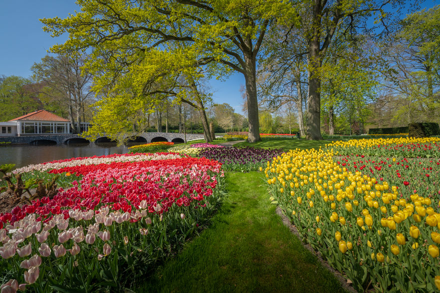 Vườn hoa đẹp nhất thế giới đóng cửa sau 71 năm