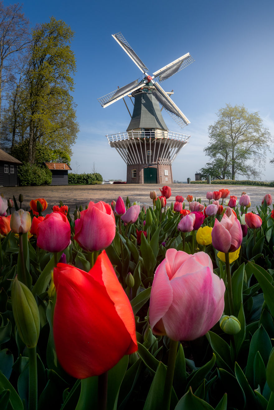 Vườn hoa đẹp nhất thế giới đóng cửa sau 71 năm