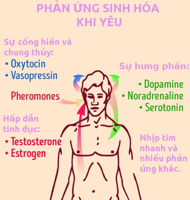 Tình yêu tạo ra hóc môn gây nghiện, làm sao để cảm giác đó kéo dài mãi mãi? - Ảnh 2.