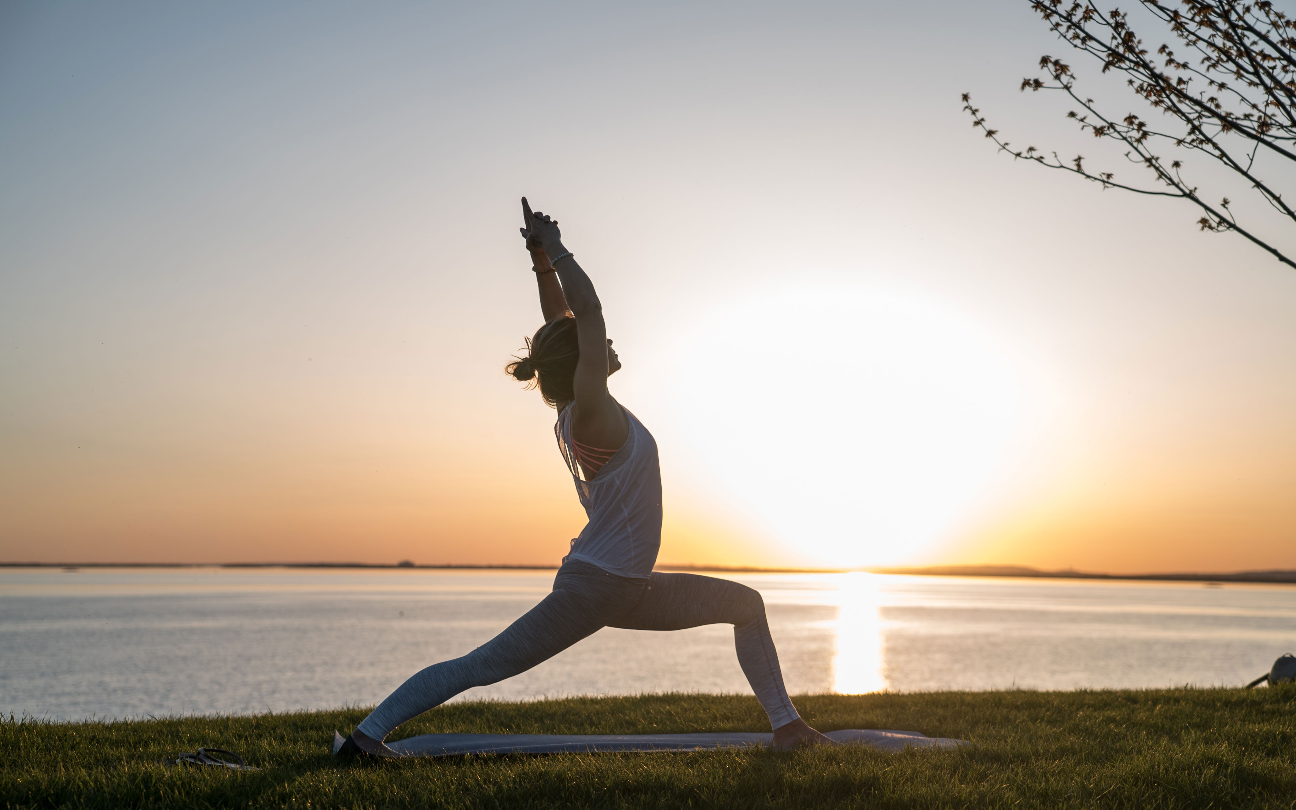 Yoga tác động thế nào đối với sức khỏe tâm lý và thể chất? | Báo dân sinh