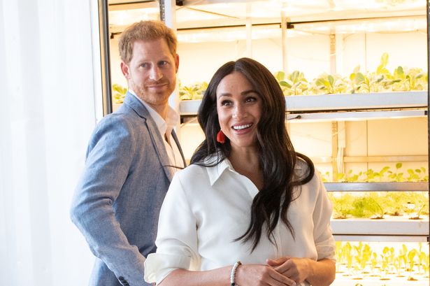 Meghan Markle lần đầu hé lộ tên tổ chức từ thiện mới sau khi rời khỏi hoàng gia, trái ngược hoàn toàn so với suy đoán của dư luận  - Ảnh 1.