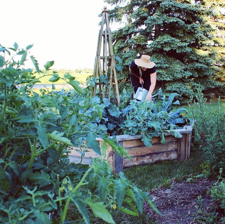 Vườn rau quả đủ loại xanh tươi bốn mùa của cô gái thích sưu tầm hạt giống - Ảnh 3.
