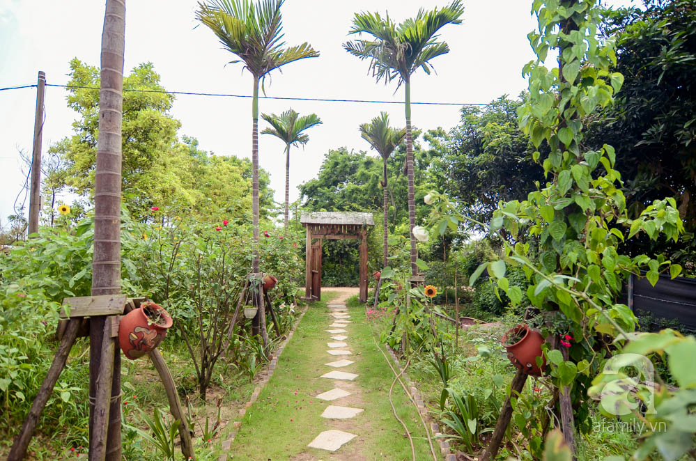 Trồng chanh trong chậu cây nào cây nấy sai vấn vít nhờ kinh nghiệm quý báu từ người đàn ông yêu làm vườn - Ảnh 2.