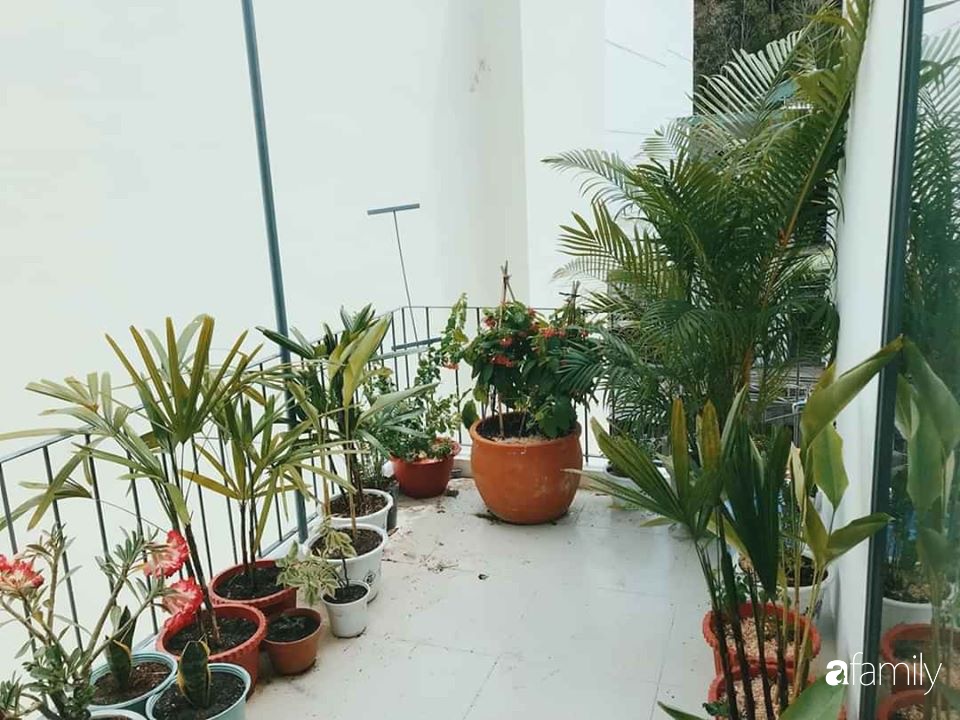 Nhà nằm sâu trong hẻm ở Nha Trang có diện tích 26m² vẫn thoáng đẹp, cá tính dành cho 6 người ở - Ảnh 14.