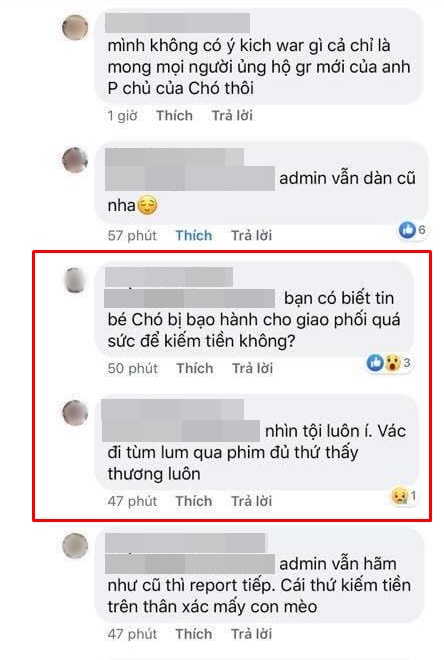 Giữa lúc dân tình rộn ràng rủ nhau lập group vui chơi mùa dịch thì Đảo Mèo - group 2 triệu thành viên nổi tiếng MXH bị đánh sập, dàn admin bị tố bóc lột thú cưng, lừa đảo quyên góp - Ảnh 10.