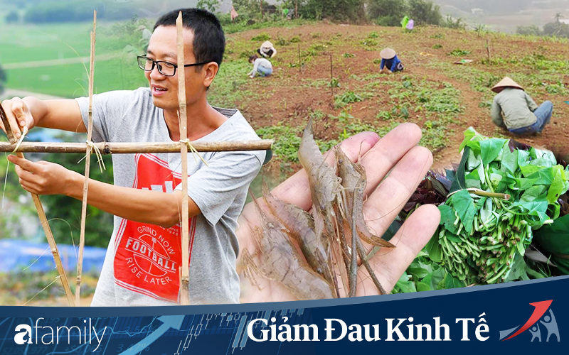 Chống Covid-19, ngôi trường cách Hà Nội 40km biến thành trang trại thực phẩm sạch; giáo viên tự bắt cá, làm shipper, chốt đơn “nhà nghề”