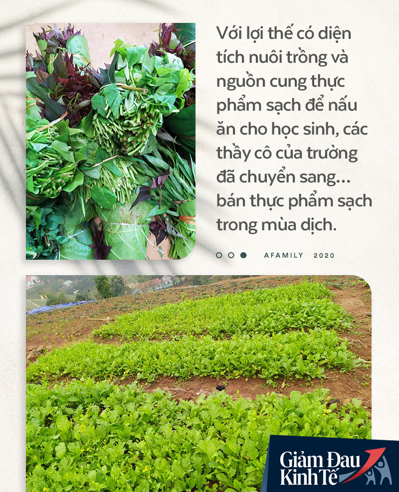 Chống Covid-19, ngôi trường cách Hà Nội 40km biến thành trang trại thực phẩm sạch; giáo viên tự bắt cá, làm shipper, chốt đơn “nhà nghề” - Ảnh 3. Chống Covid-19, ngôi trường cách Hà Nội 40km biến thành trang trại thực phẩm sạch; giáo viên tự bắt cá, làm shipper, chốt đơn “nhà nghề” - Ảnh 3.