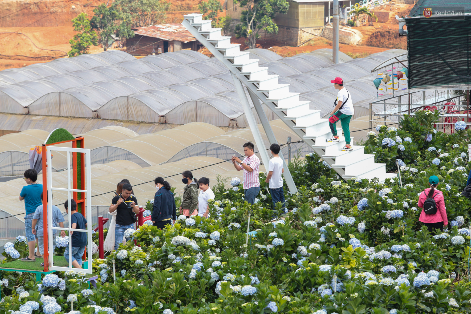 Vườn hoa hướng dương: Điểm sống ảo cực chất tại Sài Gòn