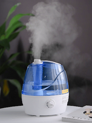 Góc giải đáp: Có nên dùng máy phun sương tạo ẩm không, và chị em phải dùng sao cho đúng cách?