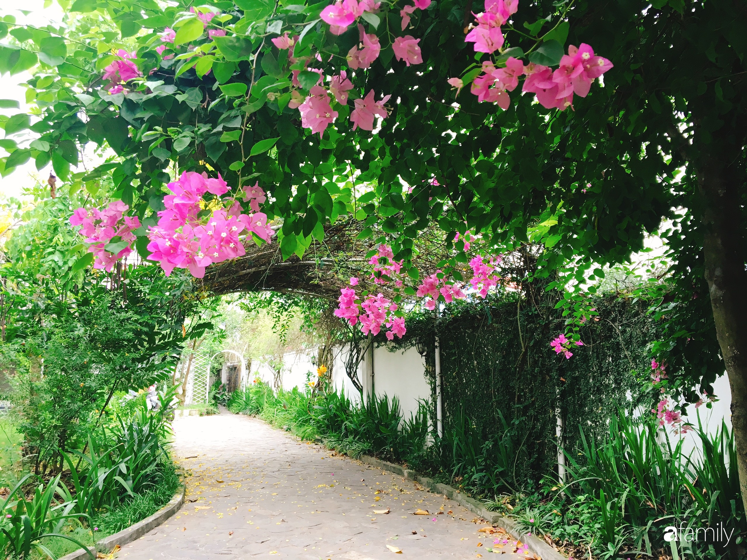 Vườn cây và hoa rực rỡ níu những bình yên ở ngoại ô Hà Nội giúp gia đình trẻ tránh xa ồn ào của phố thị - Ảnh 1.