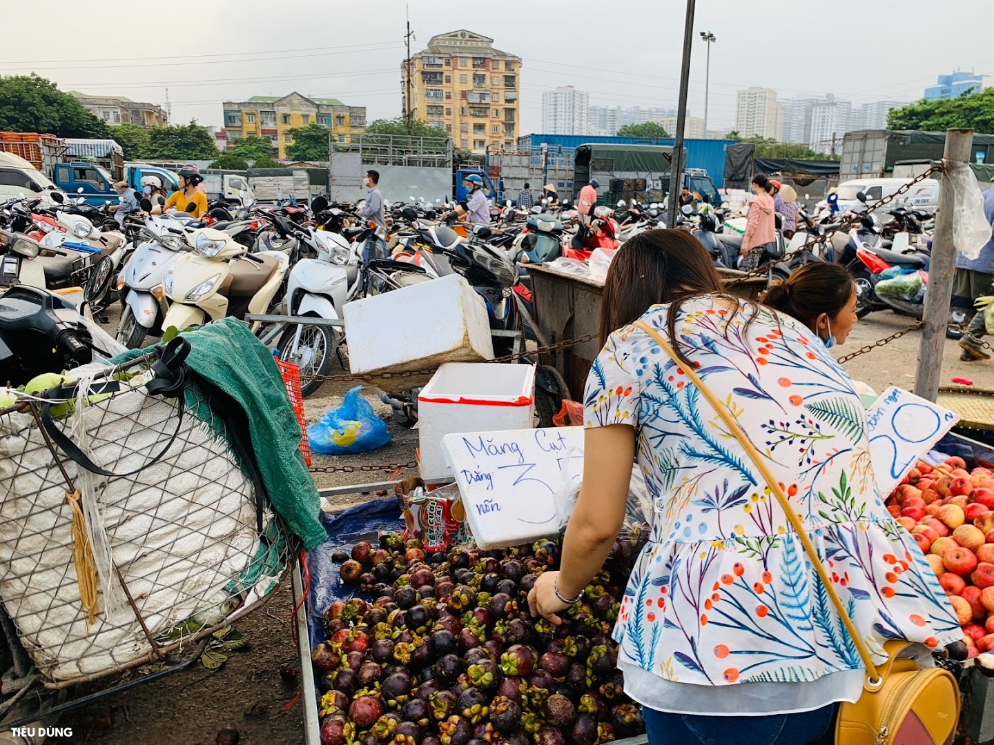 Măng cụt Thái giá 30.000 đồng/kg bán bạt ngàn ở chợ đầu mối, người tiêu dùng chuộng thi nhau "nhặt về" - Ảnh 8. Măng cụt Thái giá 30.000 đồng/kg bán bạt ngàn ở chợ đầu mối, người tiêu dùng chuộng thi nhau "nhặt về" - Ảnh 8.
