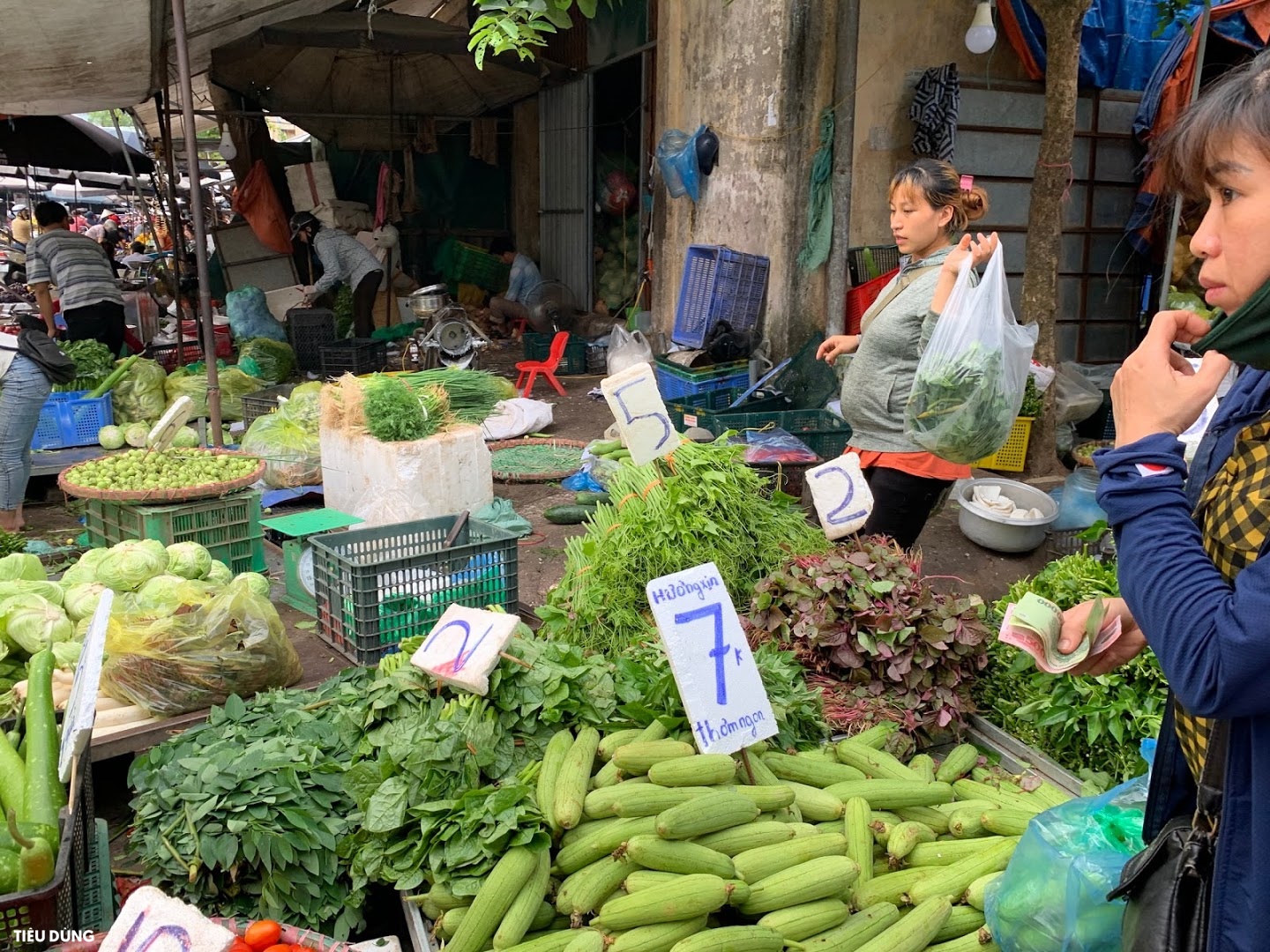 Đi chợ mấy ngày này cực đã, bà nội trợ cầm 10.000 đồng đủ rau xanh ăn cả ngày cho gia đình - Ảnh 2.