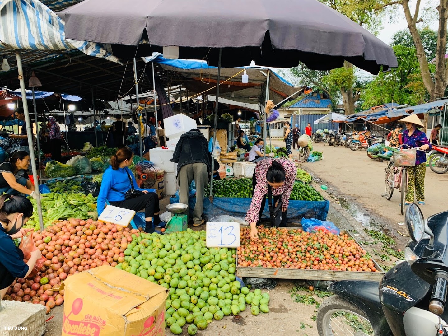 Đầu mùa vải giá 50.000 đồng/kg nhưng vị còn khá chua, cam Sài Gòn xuống chợ giá rẻ - Ảnh 9.