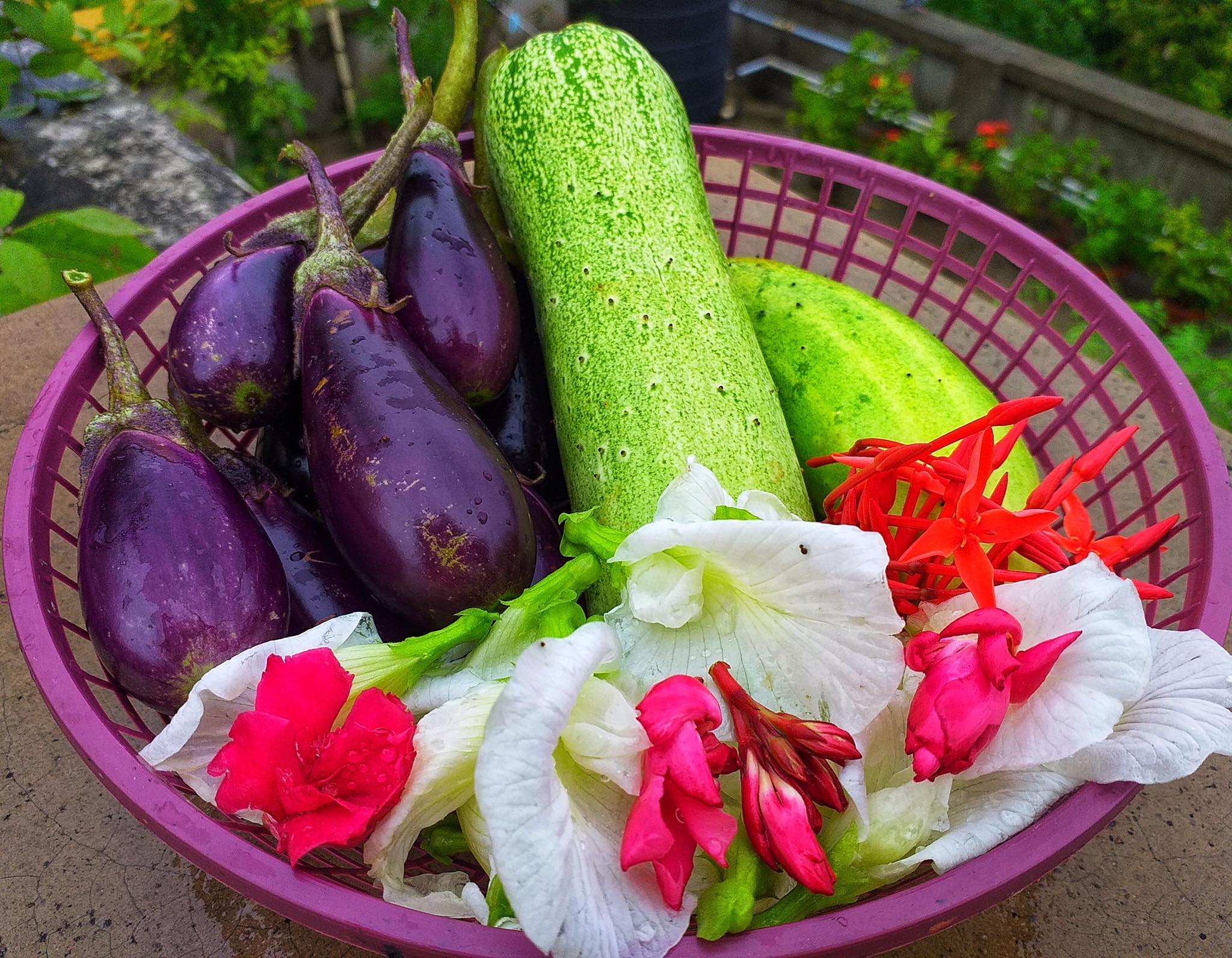 Sân thượng nắng chói chang vẫn trồng cả &quot;trang trại&quot; rau quả xanh um nhờ bí quyết đơn giản của chàng trai trẻ - Ảnh 5.