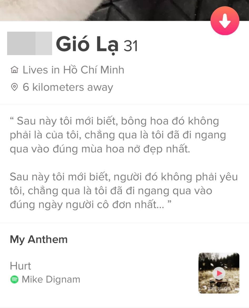 Quả không hổ danh ứng dụng hẹn hò hot nhất thị trường, Tinder có những tài khoản chỉ cần nhìn bio thôi cũng thấy “đứng hình” vì thú vị - Ảnh 7.