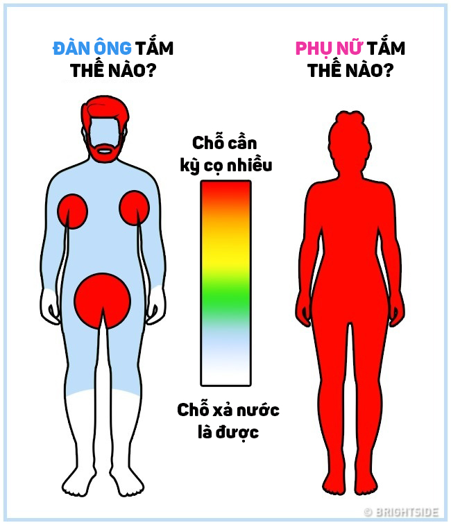 Ngoài cấu tạo cơ thể, đàn ông và phụ nữ khác nhau thế nào trong lối sống và suy nghĩ? - Ảnh 16.