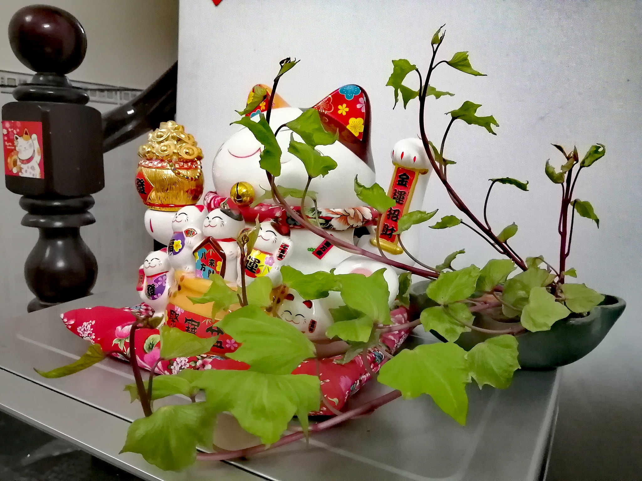 Trồng khoai lang bonsai làm đẹp nhà với các bước dễ vô cùng mà nói ra ai cũng sẽ làm được - Ảnh 5.