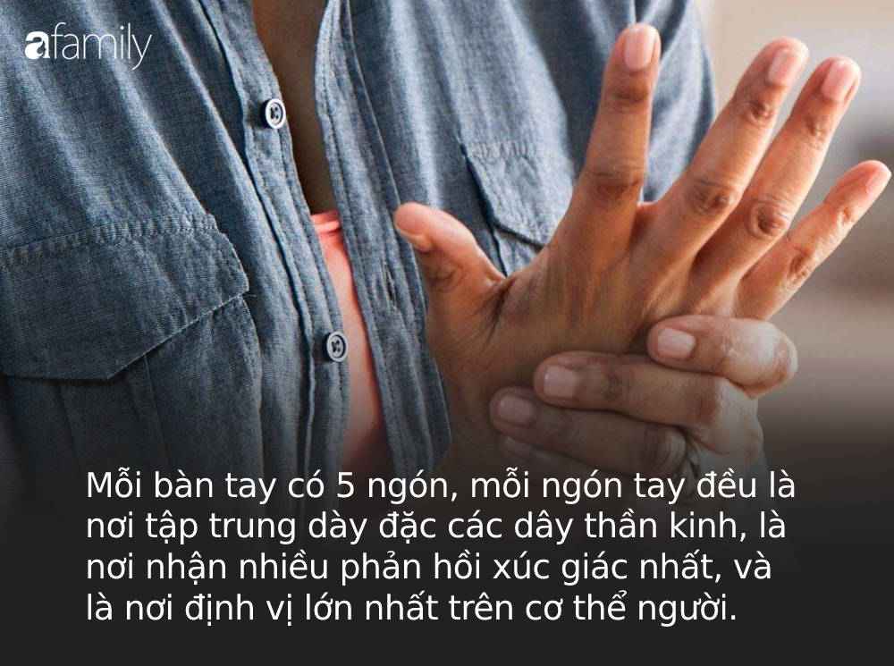 Người sống thọ thường xuất hiện 4 dấu hiệu thú vị này trên bàn tay: Thử kiểm tra ngay xem bạn có đủ hay không! - Ảnh 1.