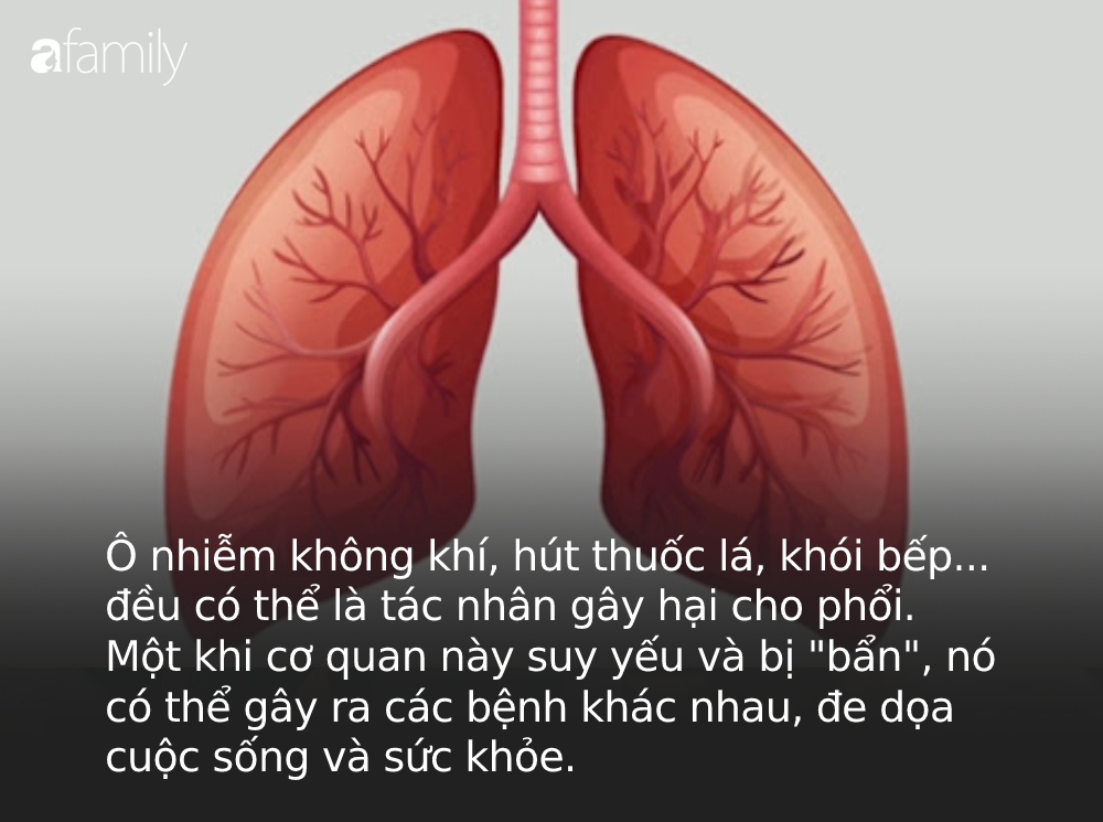 Bất luận trẻ hay già, chỉ cần phụ nữ giữ được 4 vị trí cơ thể này luôn "sạch" thì chắc chắn sẽ luôn khỏe mạnh, tuổi thọ cao - Ảnh 1.