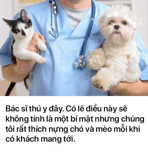 Cư dân mạng được hỏi về bí mật nghề nghiệp của mình và chúng ta nhận được một rổ thông tin cực kì thú vị - Ảnh 13.